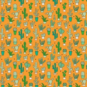 Meet your Posher, Lily